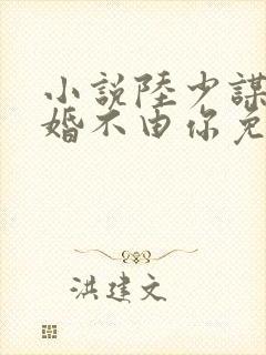 小说陆少谋妻之婚不由你免费阅读