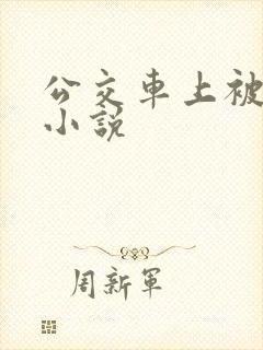 公交车上被轮的小说