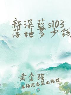 新深蓝sl03落地多少钱