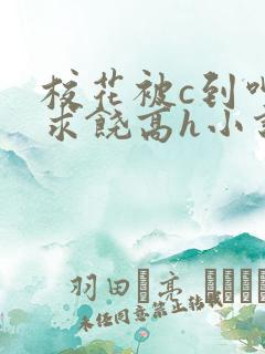 校花被c到呻吟求饶高h小说