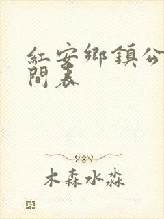 红安乡镇公交时间表