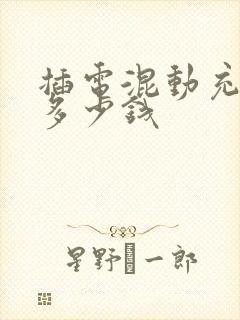插电混动充电桩多少钱