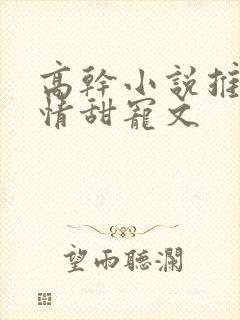 高干小说推荐言情甜宠文