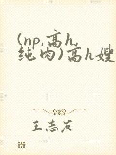 (np,高h,纯肉)高h嫂子