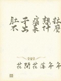 肚子痛想拉又拉不出来什么原因
