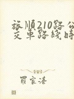 旅顺210路公交车路线时间表