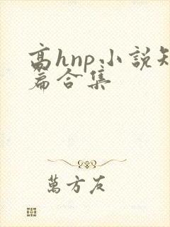 高hnp小说短篇合集 高hnp小说短篇合集