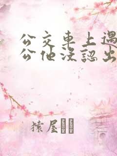 公交车上遇到公公他没认出我小说