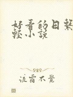 好看的日系日常轻小说