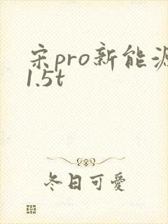 宋pro新能源1.5t