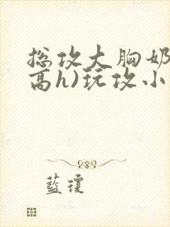 总攻大胸奶汁(高h)玩攻小说 总攻大胸奶汁(高h)玩攻小说