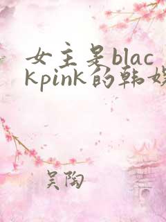 女主是blackpink的韩娱小说