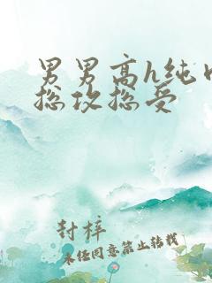 男男高h纯肉 总攻总受