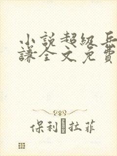 小说超级兵王叶谦全文免费阅读