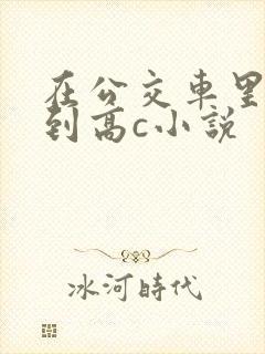 在公交车里c弄到高c小说