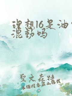 理想l6是油电混动吗