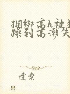 捆绑高h被狂c躁到高潮失禁