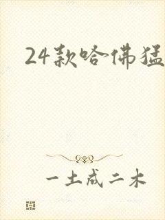 24款哈佛猛龙