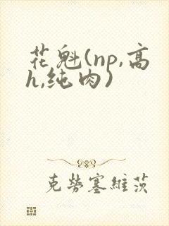 花魁(np,高h,纯肉)