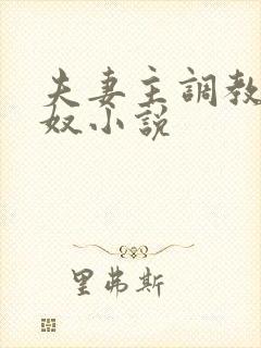 夫妻主调教夫妻奴小说