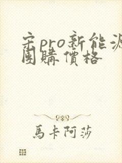 宋pro新能源团购价格 宋pro新能源团购价格