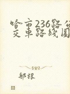 哈市236路公交车路线图