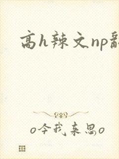 高h辣文np乱