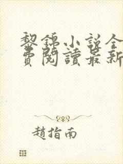 黎锦小说全文免费阅读最新章节