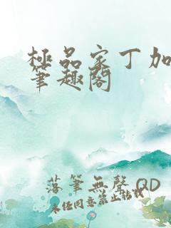 极品家丁加料版笔趣阁