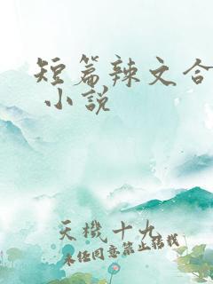 短篇辣文合集. 小说