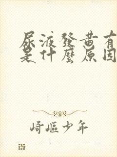 尿液发黄有泡泡是什么原因