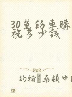 30万的车购置税多少钱