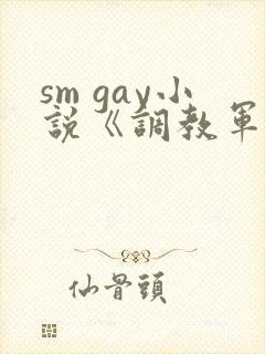 sm gay小说《调教军奴》
