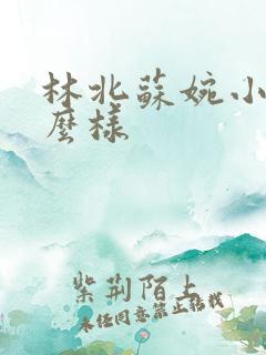 林北苏婉小说怎么样