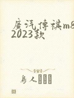 广汽传祺m8 2023款