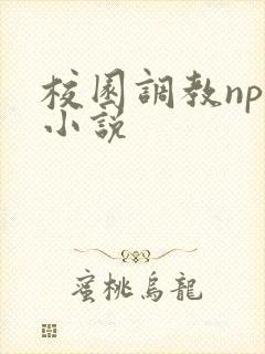 校园调教nph小说