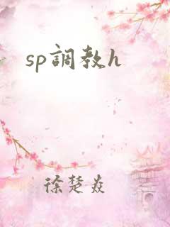 sp调教h