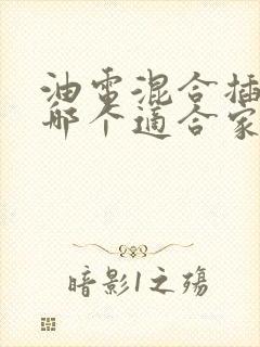油电混合插电混哪个适合家用