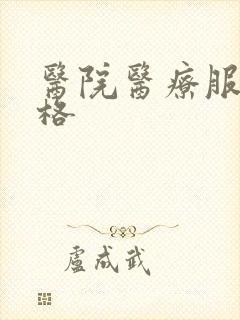 医院医疗服务价格