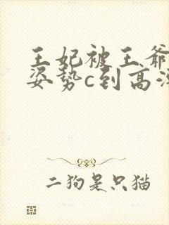 王妃被王爷各种姿势c到高潮h