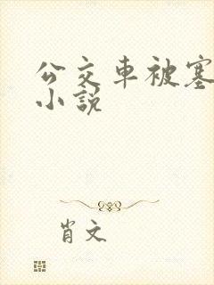 公交车被塞跳蛋小说