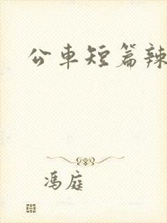 公车短篇辣文