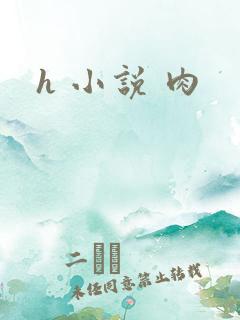 h 小说 肉