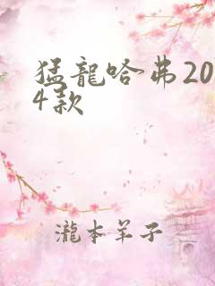 猛龙哈弗2024款