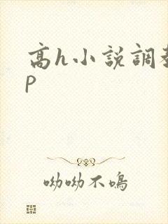 高h小说调教np