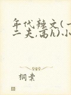 年代辣文(一女二夫,高h)小说