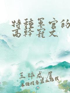 特种军官的腻宠高干宠文