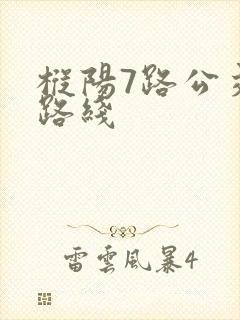 枞阳7路公交车路线