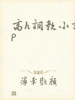 高h调教小说np