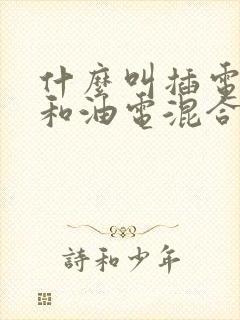 什么叫插电混动和油电混合
